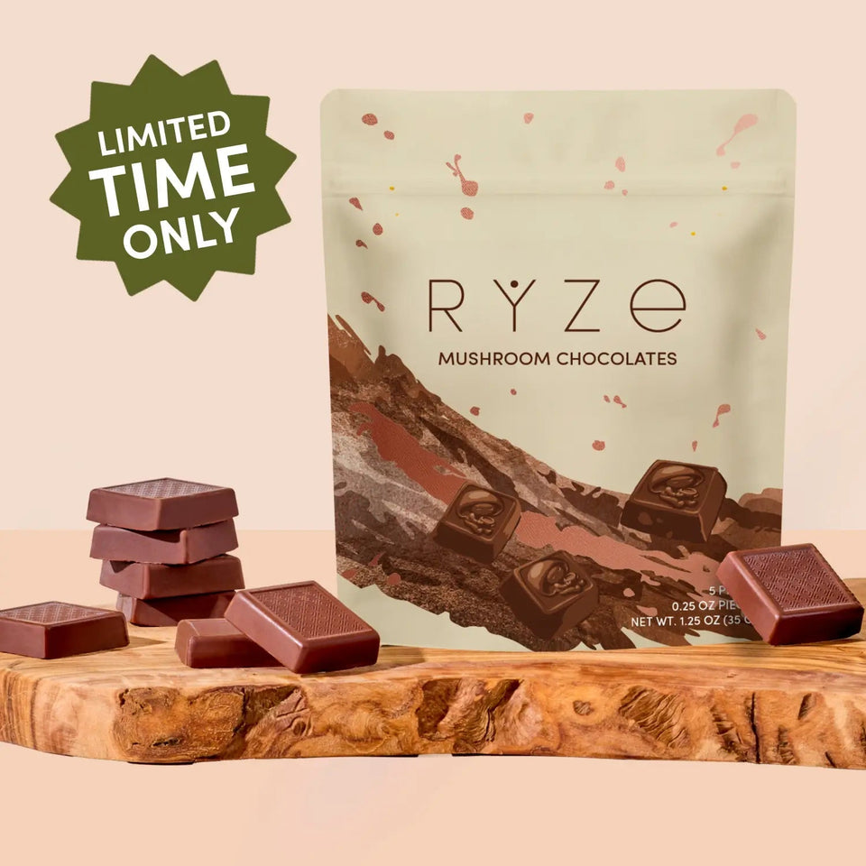 Mushroom Chocolates Rye (15 pieces) - Comfort Cup